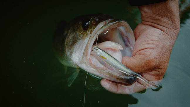 LIVETARGET Releases New Ghost Tail Minnow